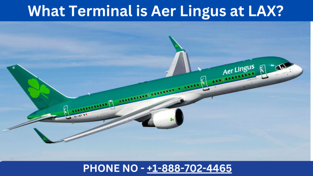 What Terminal is Aer Lingus at LAX