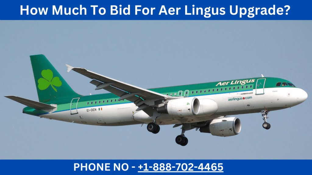 How Much To Bid For Aer Lingus Upgrade