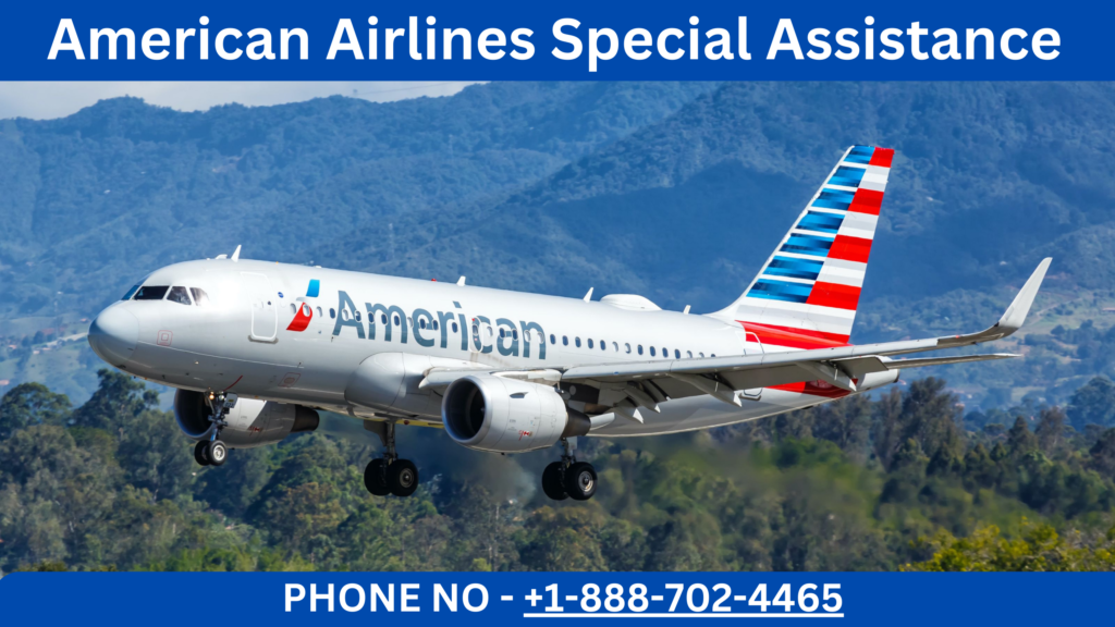 American Airlines Special Assistance