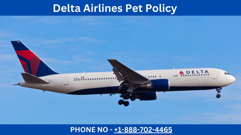 Delta Airlines Pet Policy