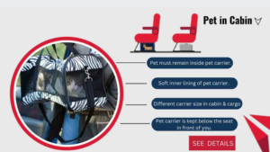 Delta Airlines Pet Travel Requirements for Pets in the Cabin