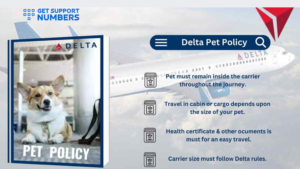 What Paperwork Do I Need to Fly with my Dog on Delta?